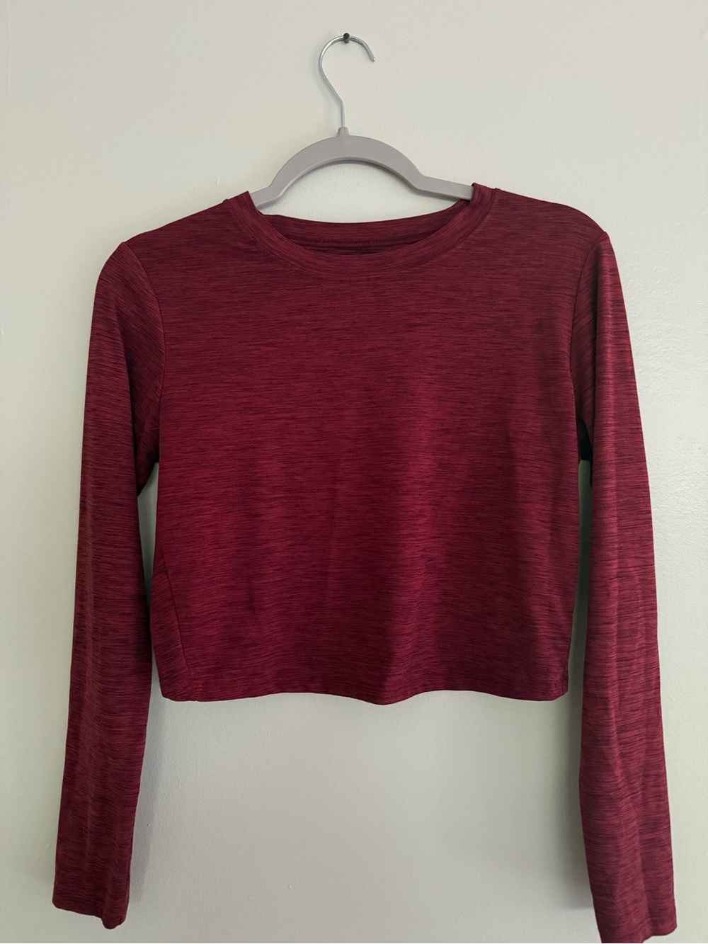 Born Primitive Long Sleeve Crewneck Crop Top in Burgundy